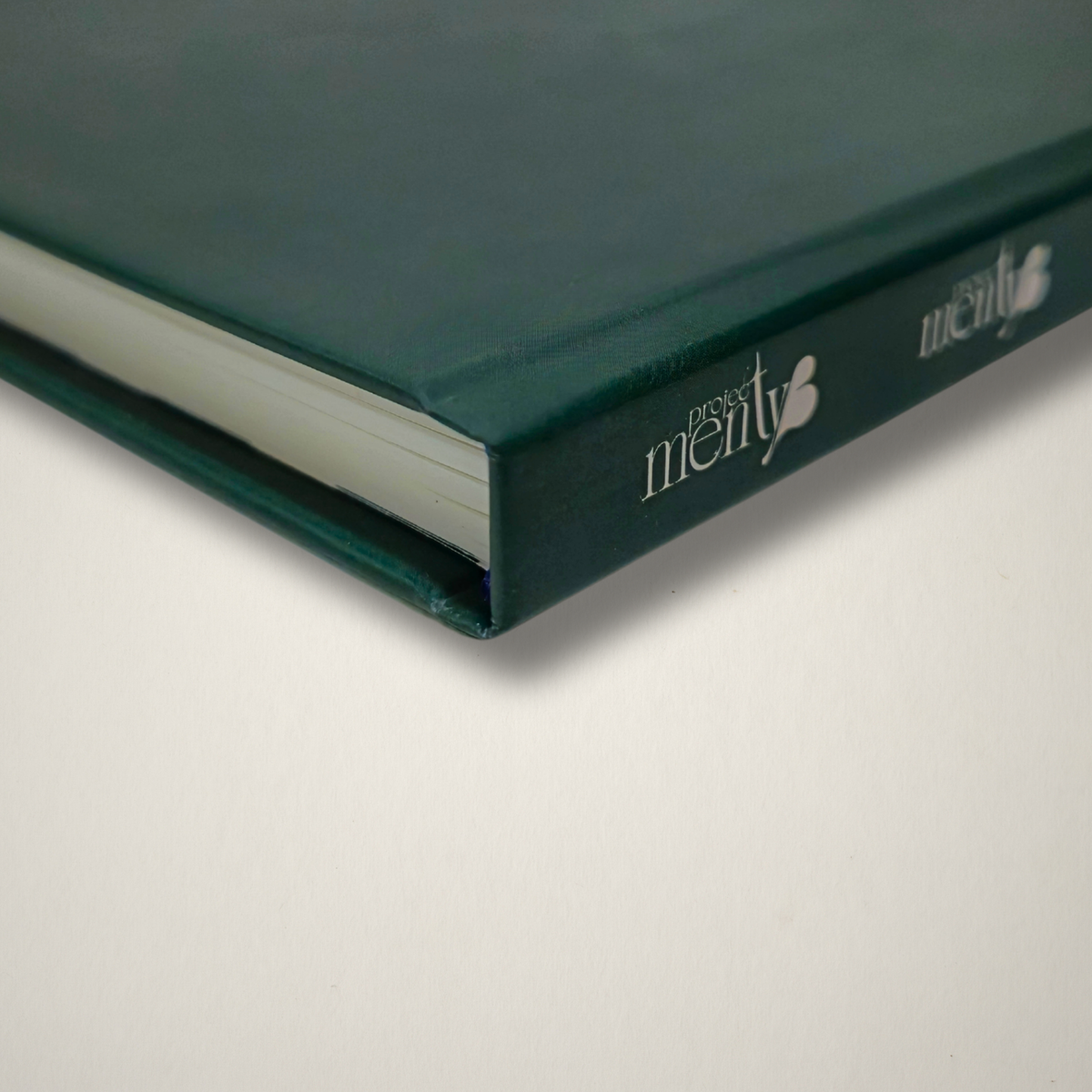 Work In Progress – Hardcover Blank Notebook